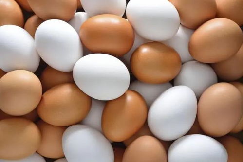 10大健康食品公布,大蒜上榜——健康咨询服务为您解读